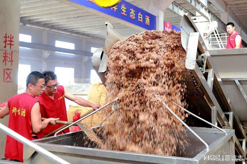 触目惊心 记者卧底鸭肠鹅肠工厂,揭露食品安全问题